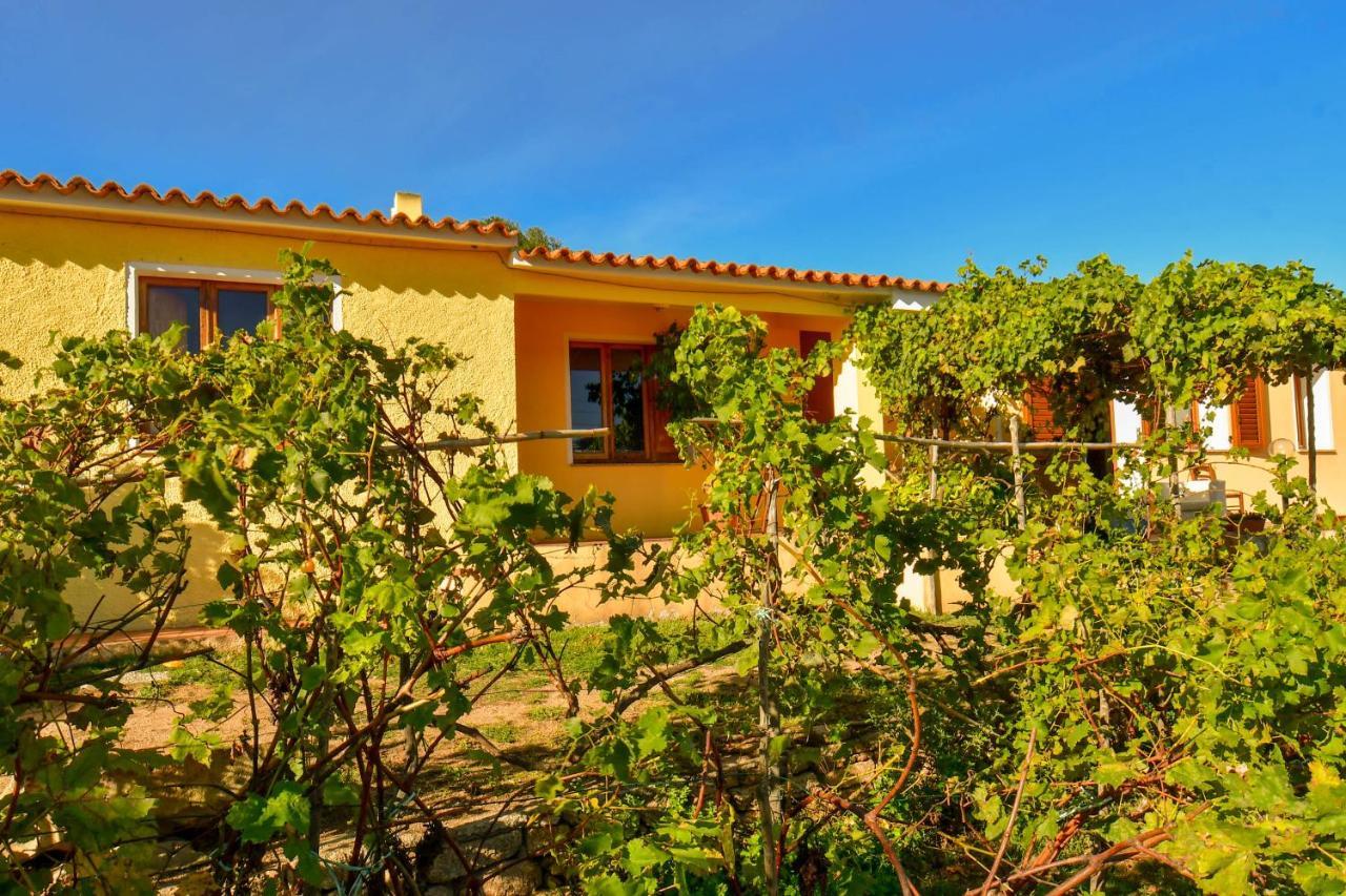 Agriturismo Sardo Villa Campavaglio Exterior photo